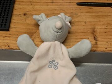 Un doudou oublié par un client